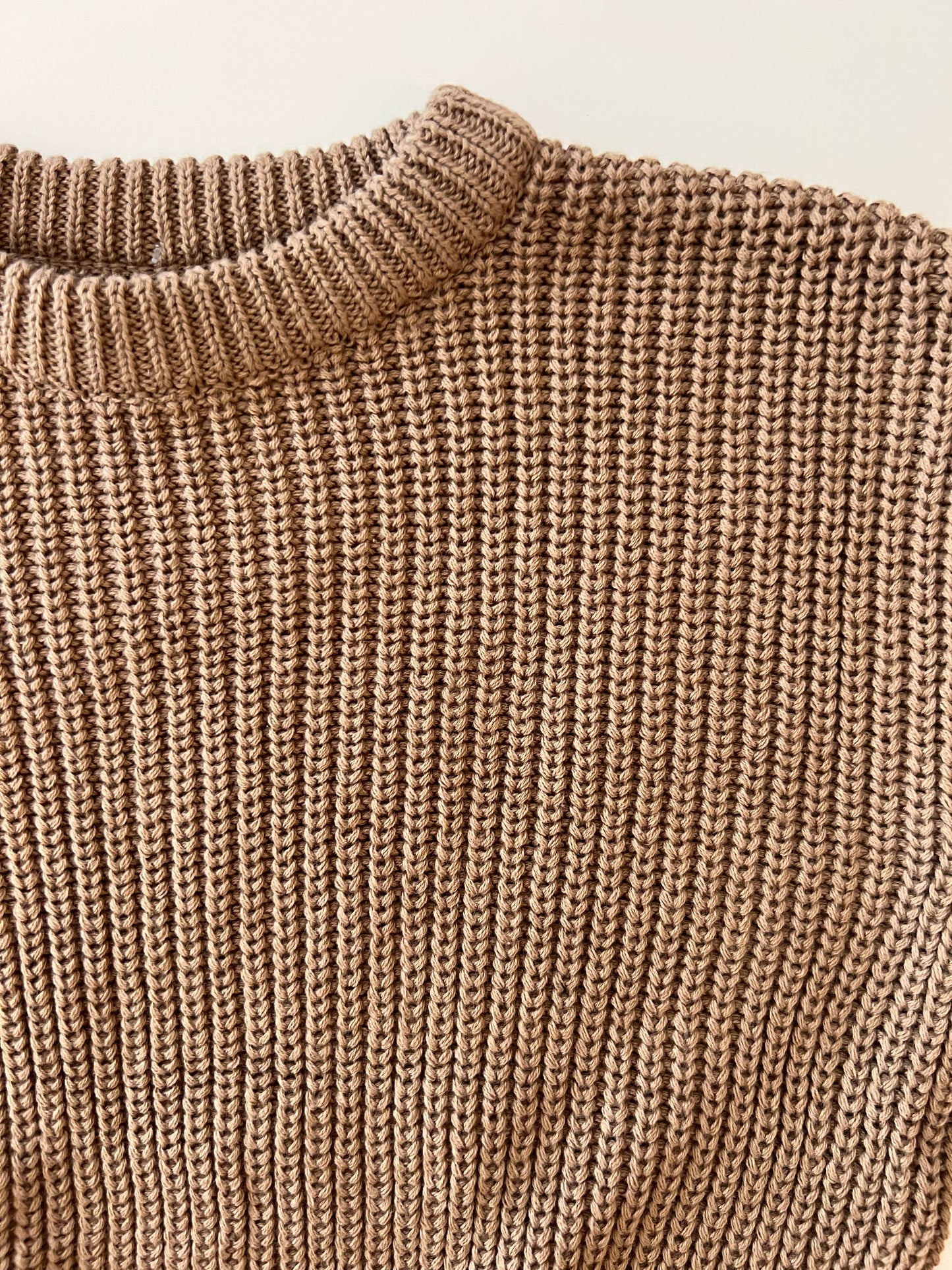 Knit Sweater in Teddy